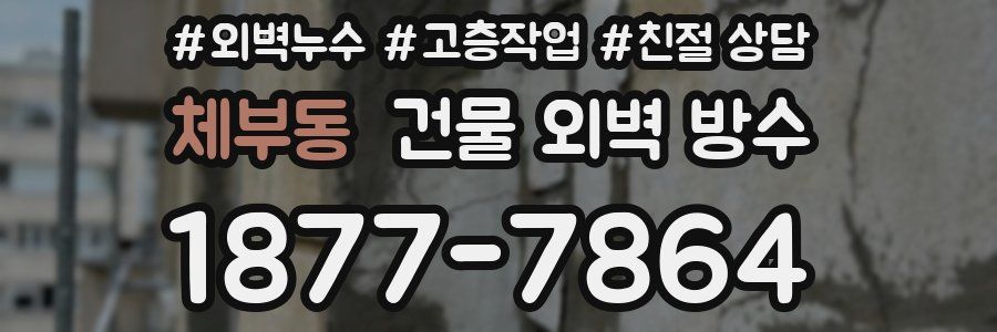 체부동 건물 외벽 방수