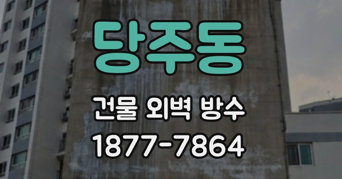 당주동 건물 외벽 방수
