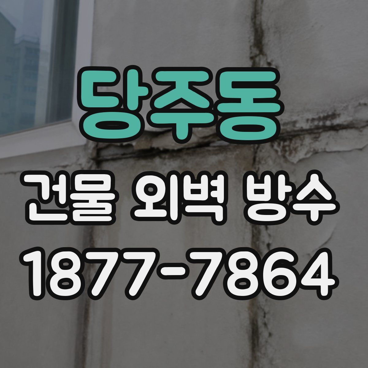 당주동 건물 외벽 방수