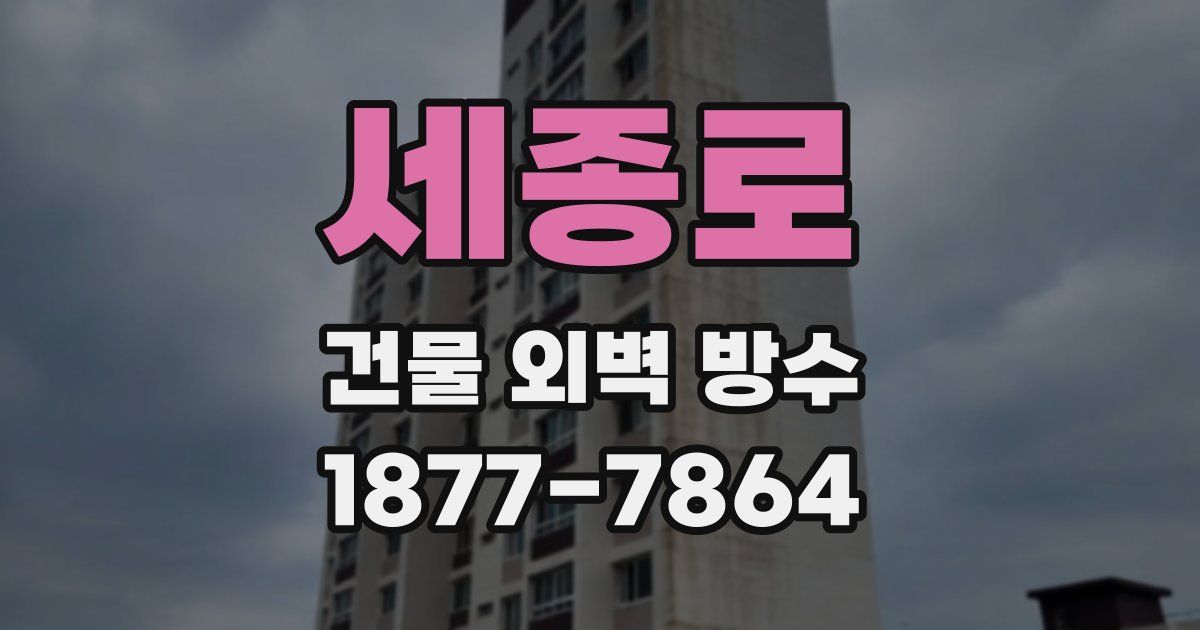세종로 건물 외벽 방수