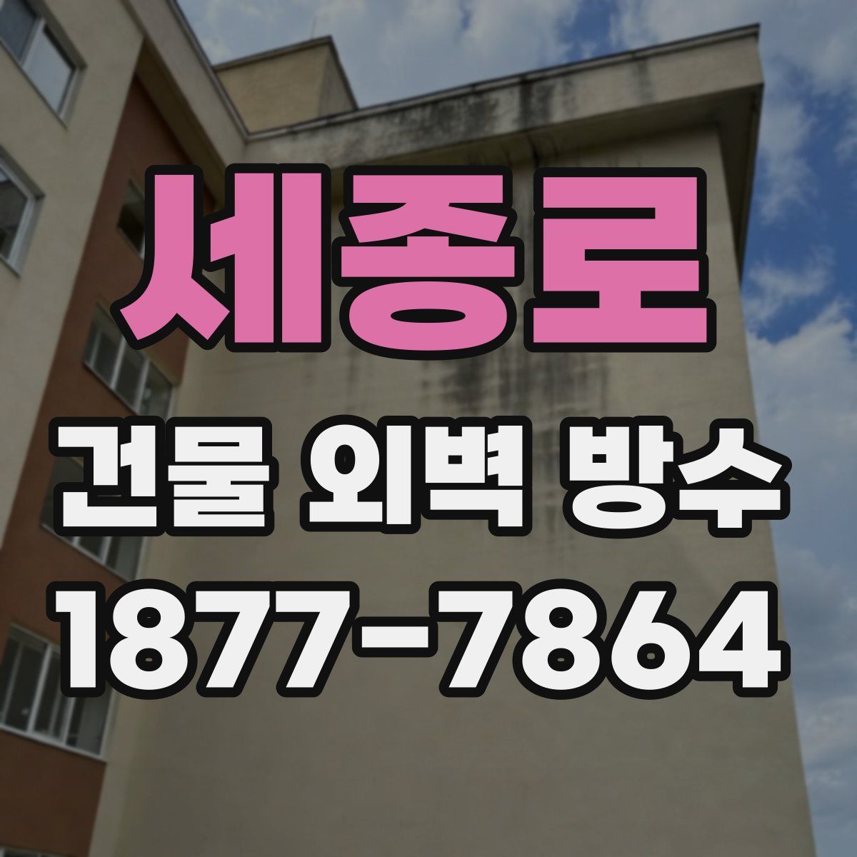 세종로 건물 외벽 방수