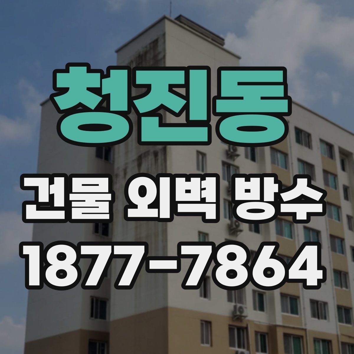 청진동 건물 외벽 방수 전면 보수와 부분 보수 차이
