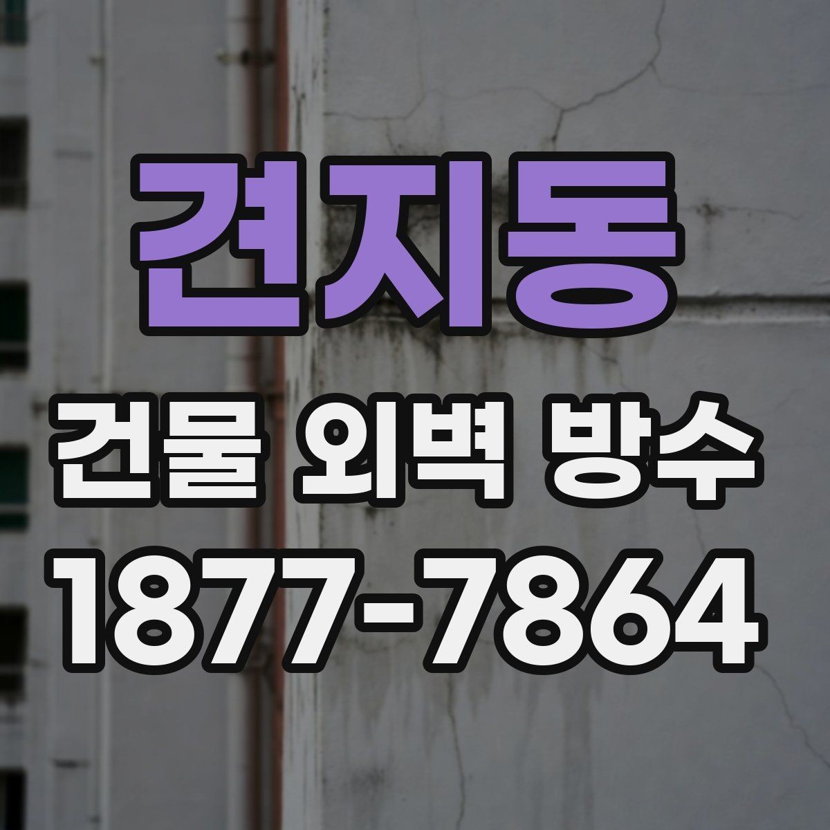 견지동 건물 외벽 방수 재료 선택 시 고려할 점