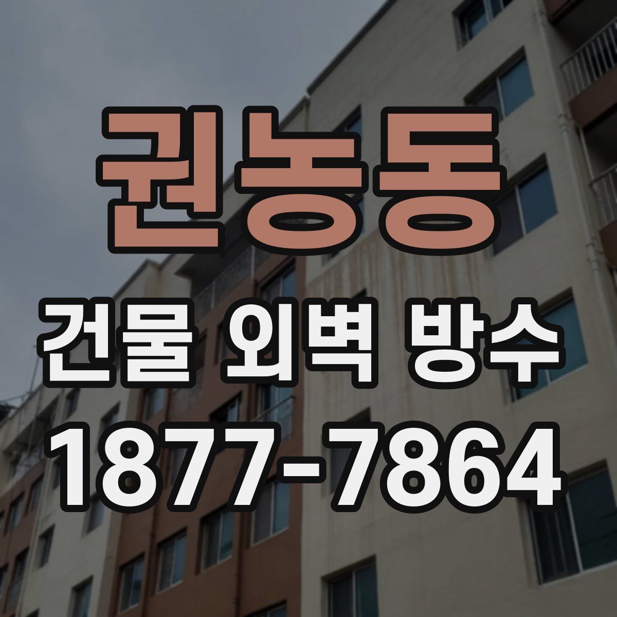 권농동 건물 외벽 방수