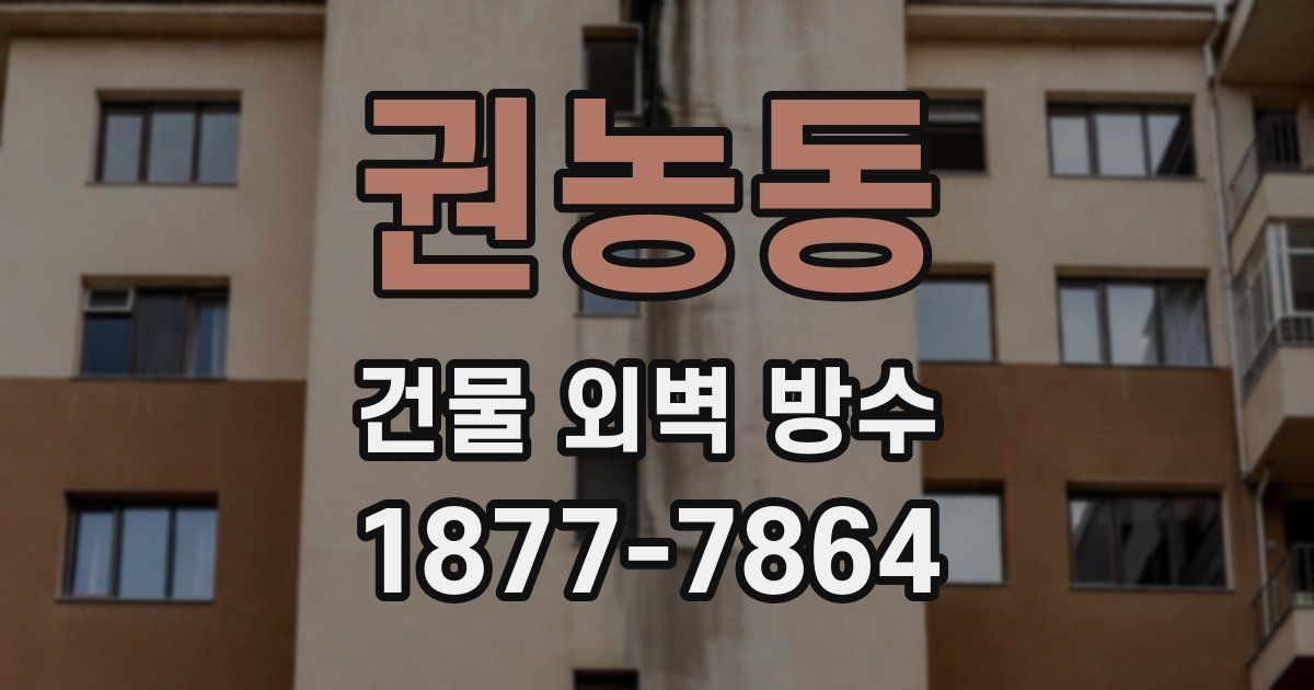권농동 건물 외벽 방수