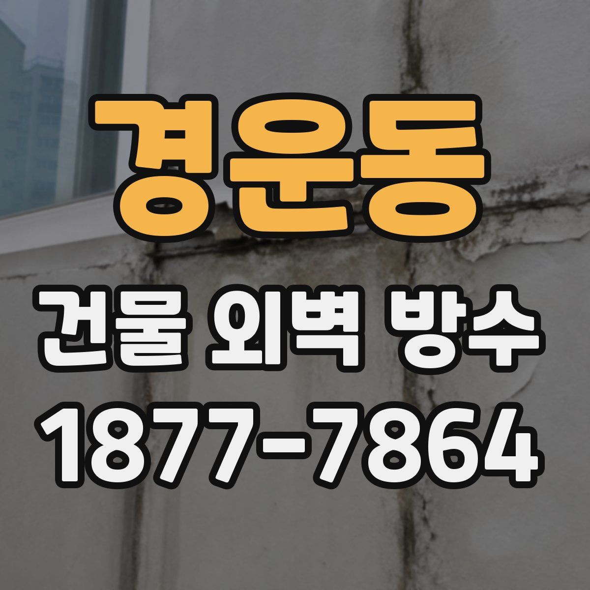경운동 건물 외벽 방수