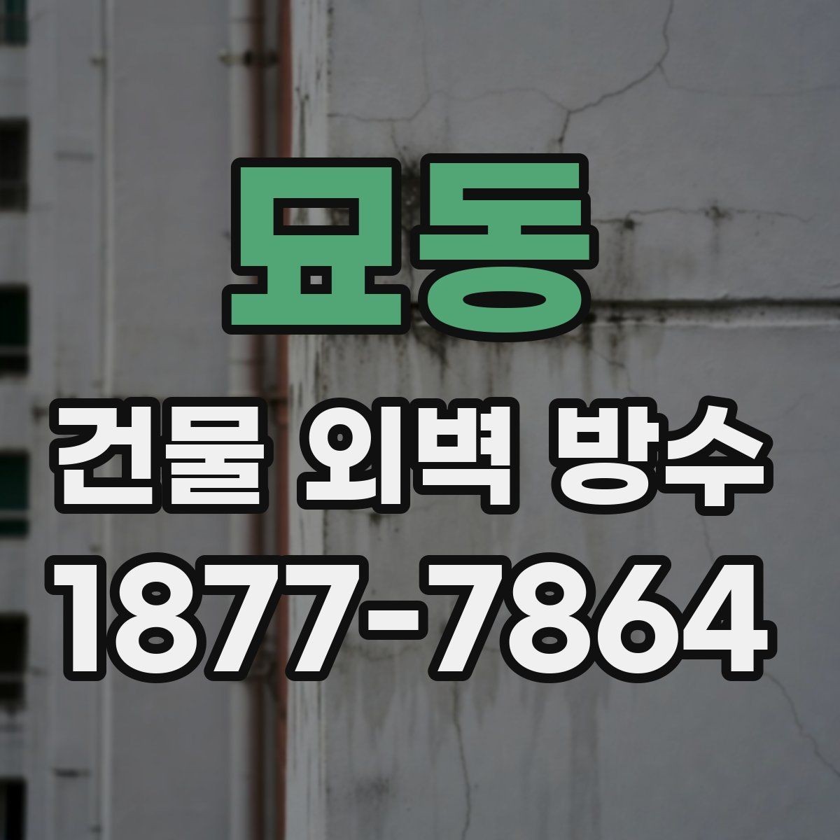 묘동 건물 외벽 방수 업체 상담 후 비교해야 할 내용