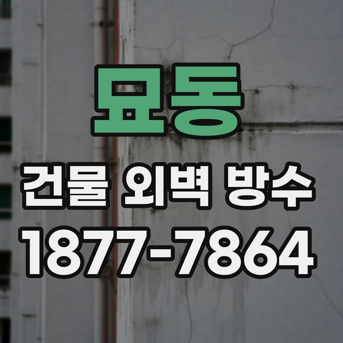 묘동 건물 외벽 방수
