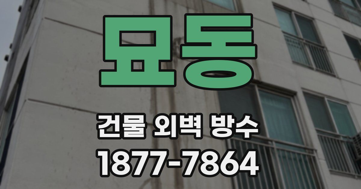 묘동 건물 외벽 방수