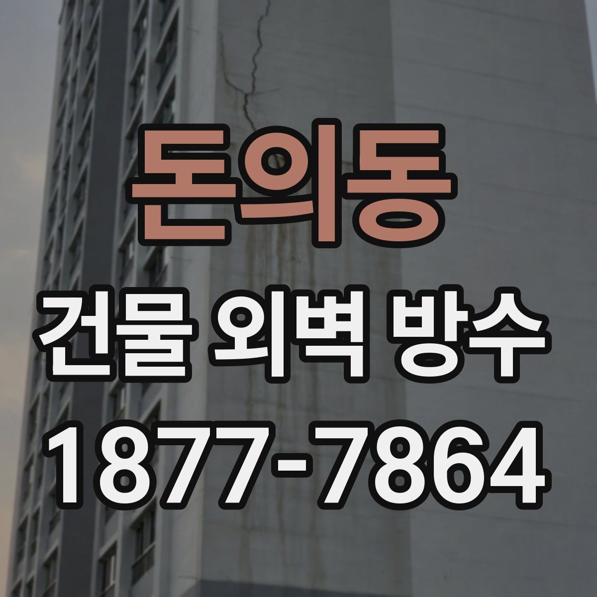돈의동 건물 외벽 방수