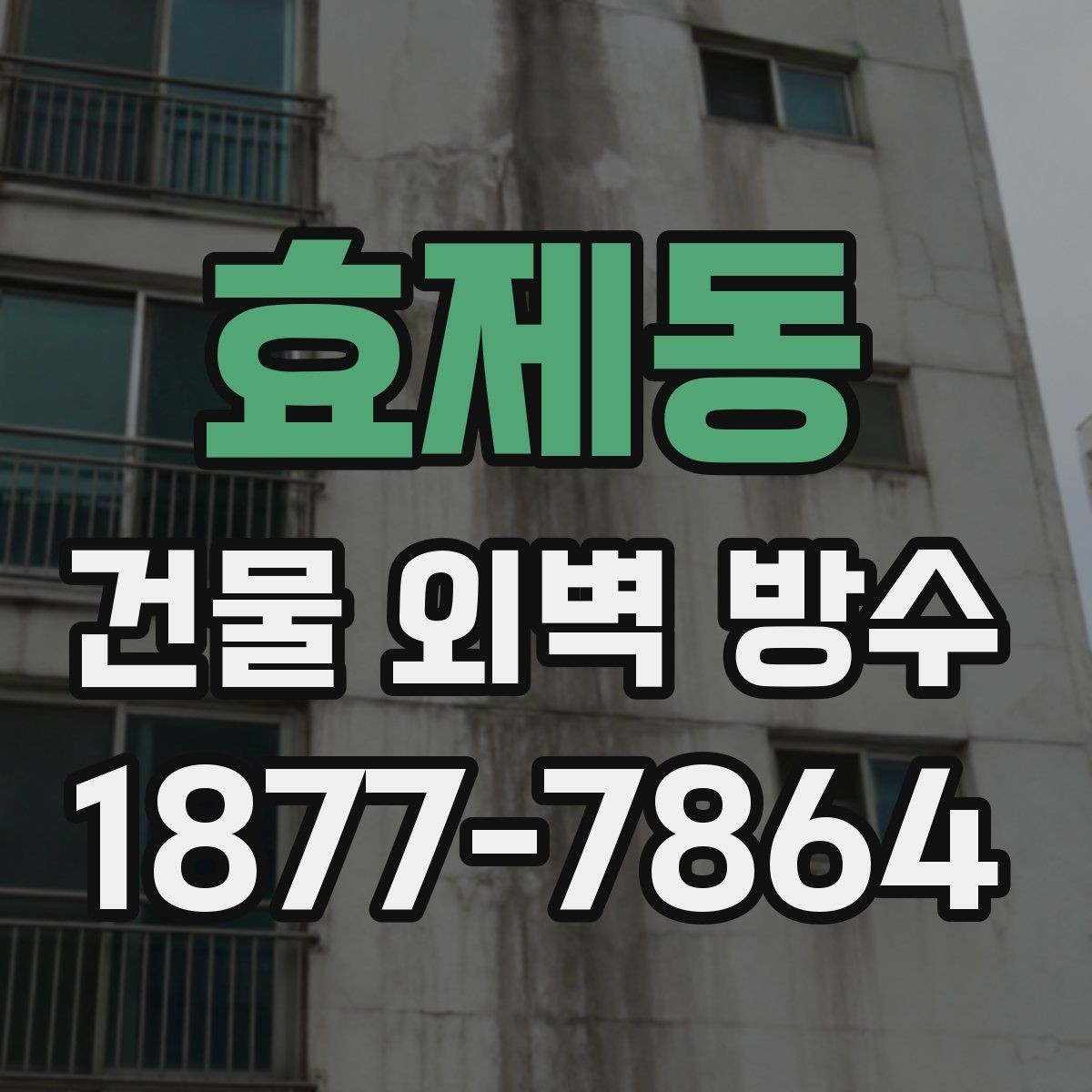 효제동 건물 외벽 방수 재시공이 필요한 신호