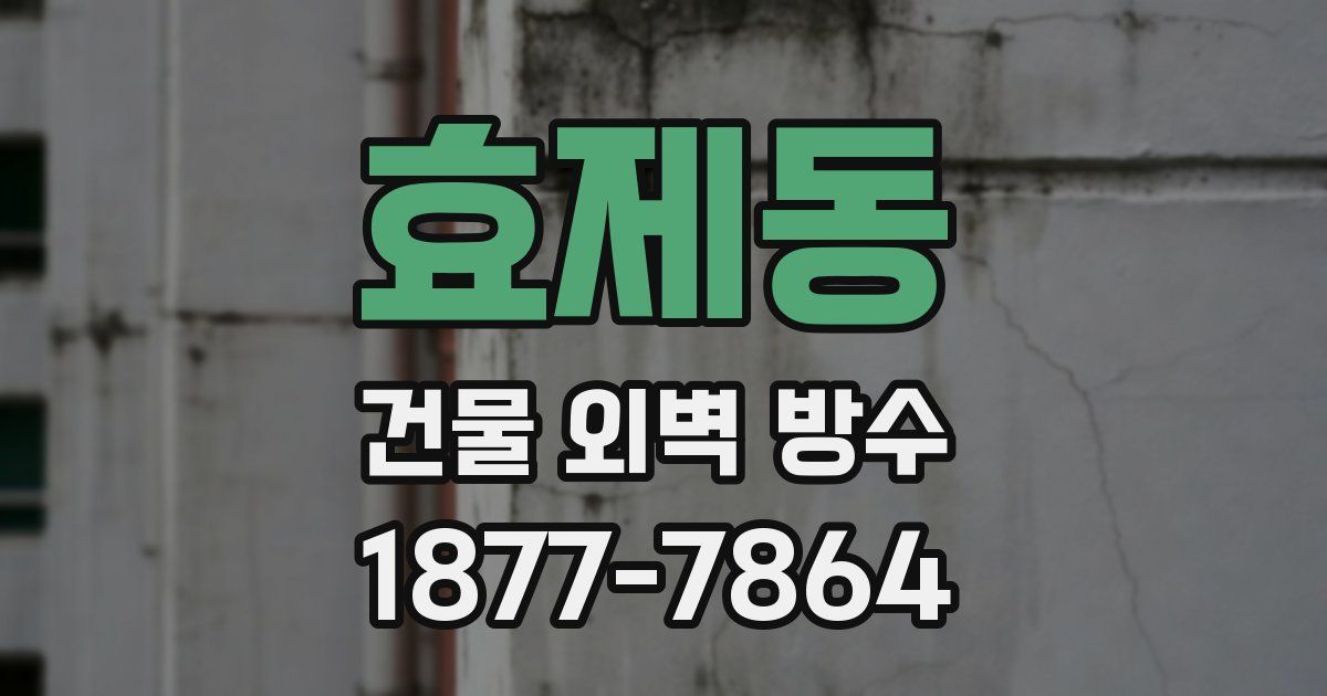 효제동 건물 외벽 방수