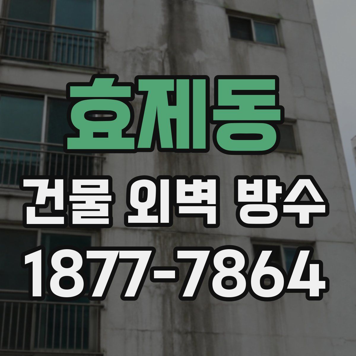 효제동 건물 외벽 방수