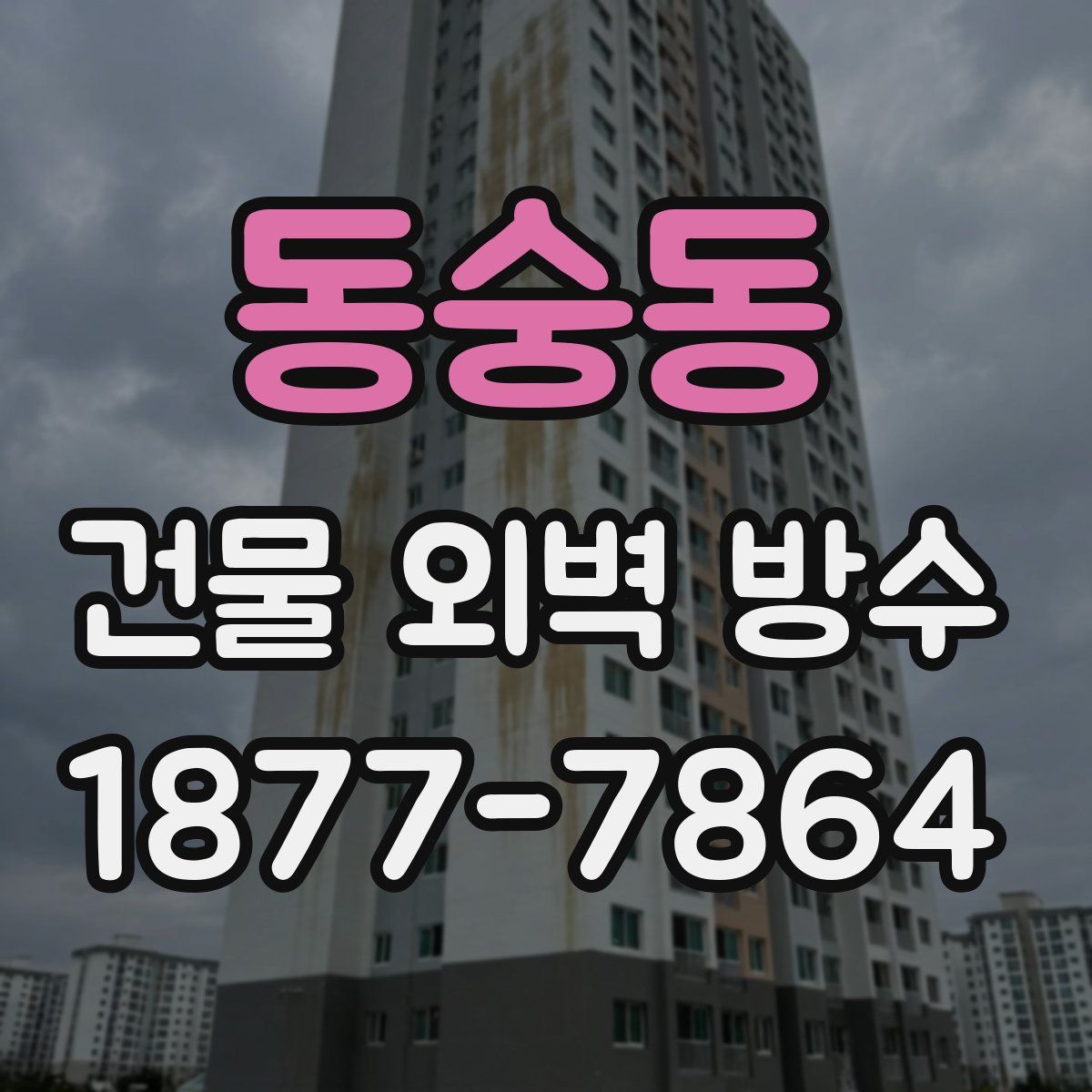 동숭동 건물 외벽 방수