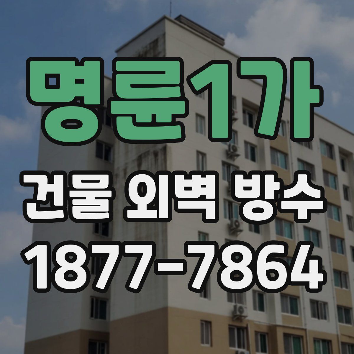 명륜1가 건물 외벽 방수