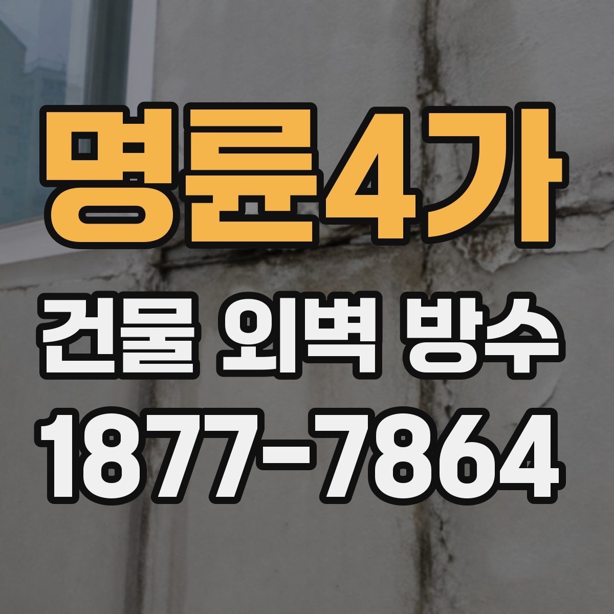 명륜4가 건물 외벽 방수