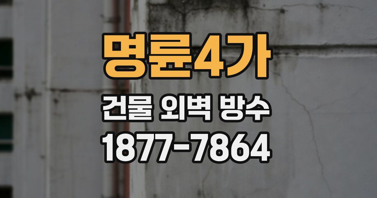 명륜4가 건물 외벽 방수