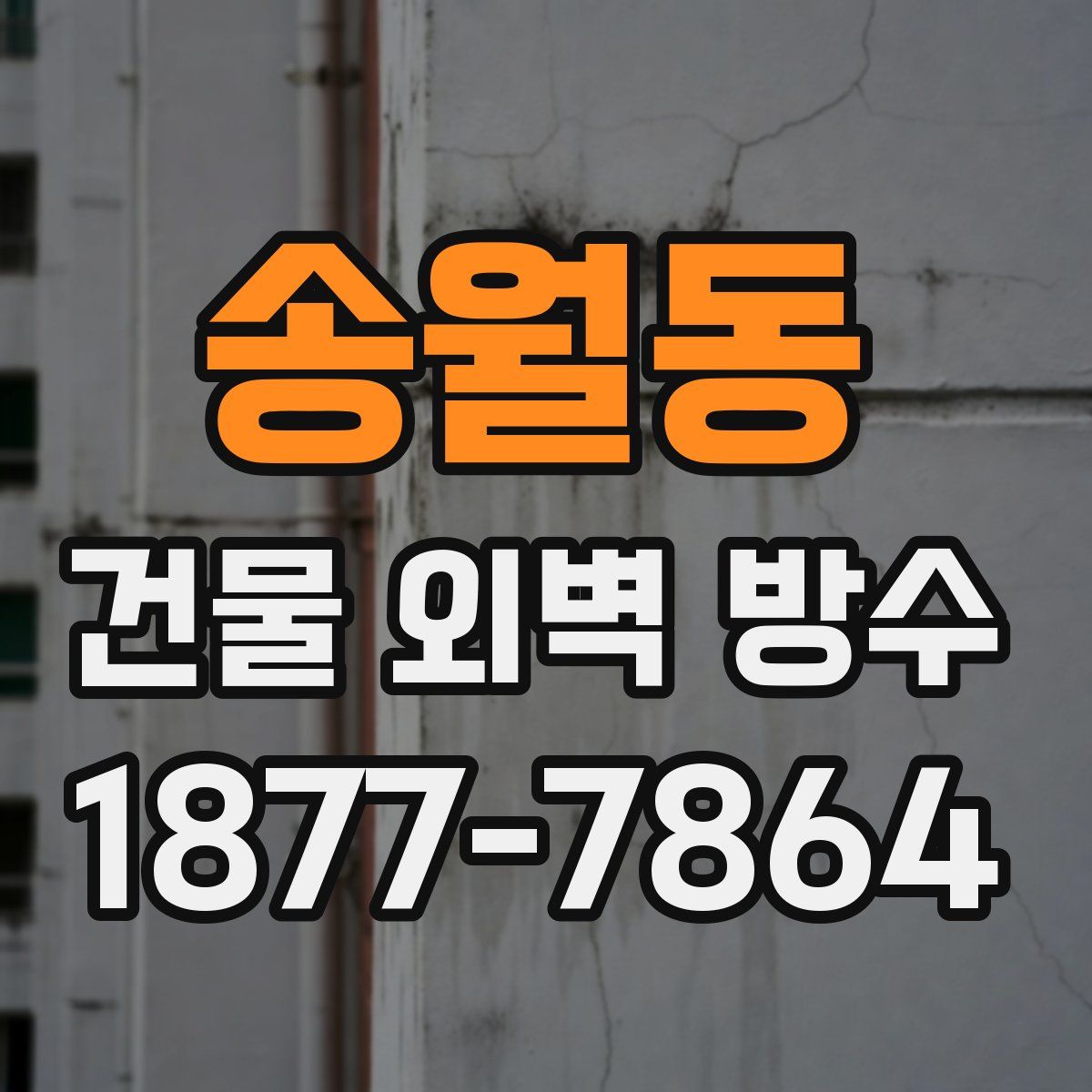 송월동 건물 외벽 방수
