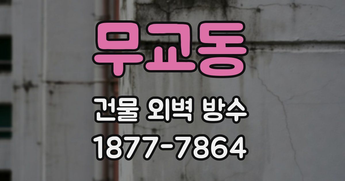 무교동 건물 외벽 방수