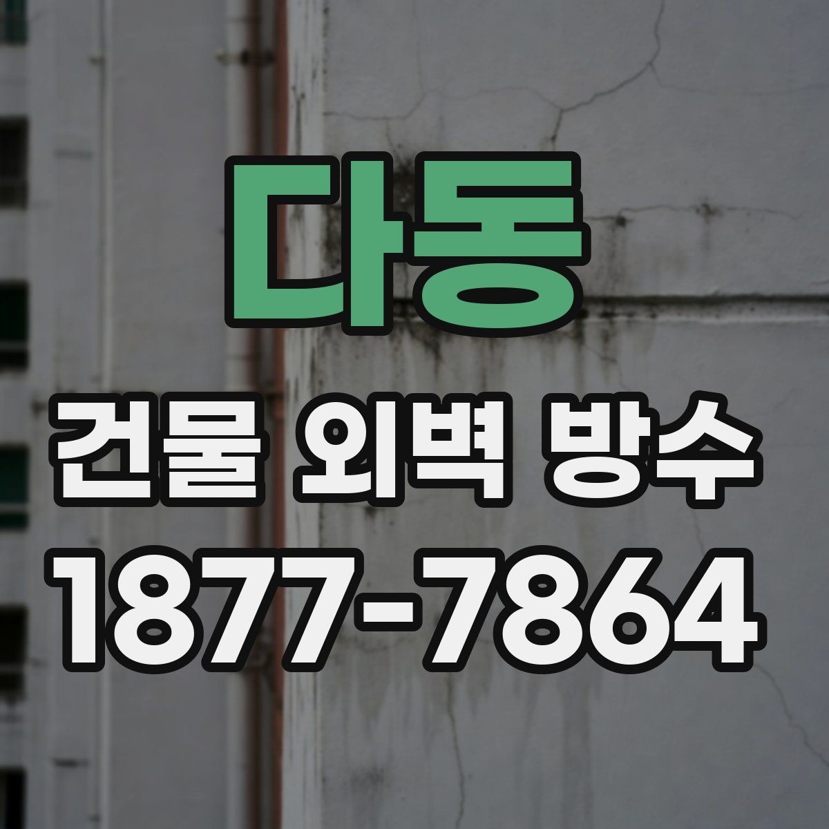 다동 건물 외벽 방수 건물 용도별 고려사항