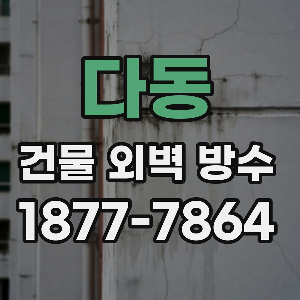 다동 건물 외벽 방수