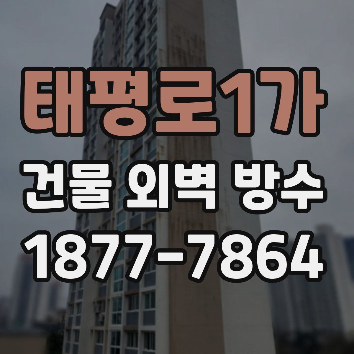 태평로1가 건물 외벽 방수 외벽 상태 진단이 먼저인 이유