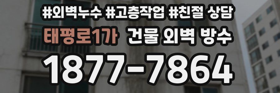 태평로1가 건물 외벽 방수