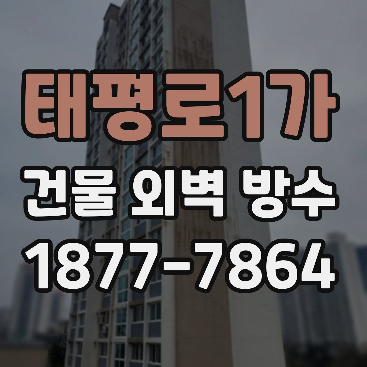 태평로1가 건물 외벽 방수
