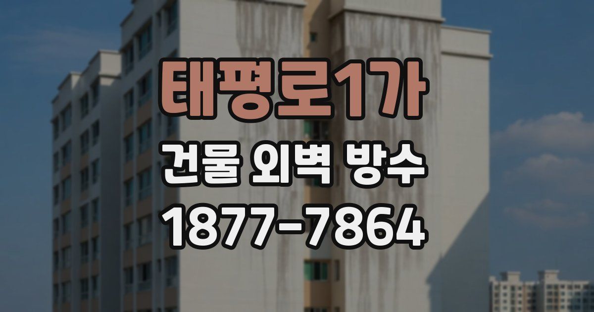 태평로1가 건물 외벽 방수