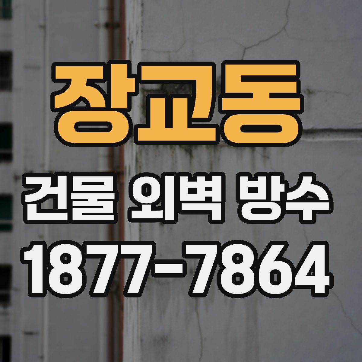 장교동 건물 외벽 방수