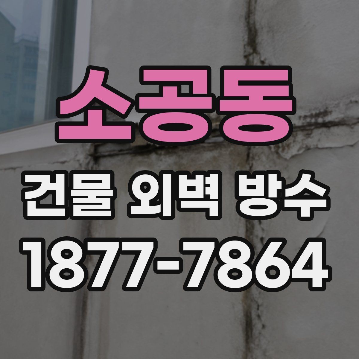 소공동 건물 외벽 방수 점검 시 사진 기록이 필요한 이유