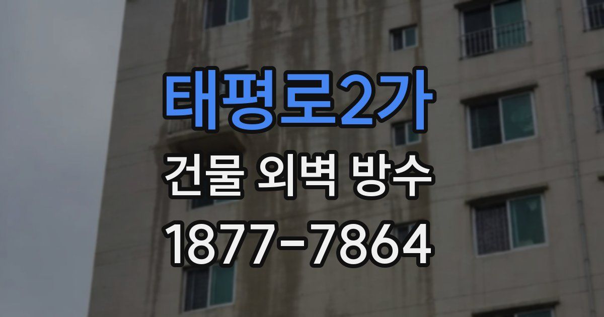 태평로2가 건물 외벽 방수