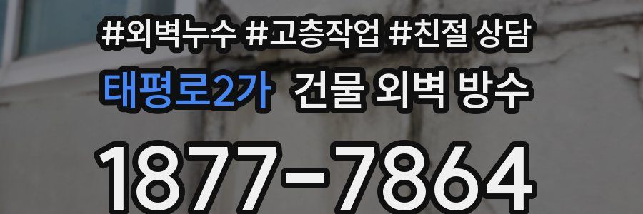 태평로2가 건물 외벽 방수