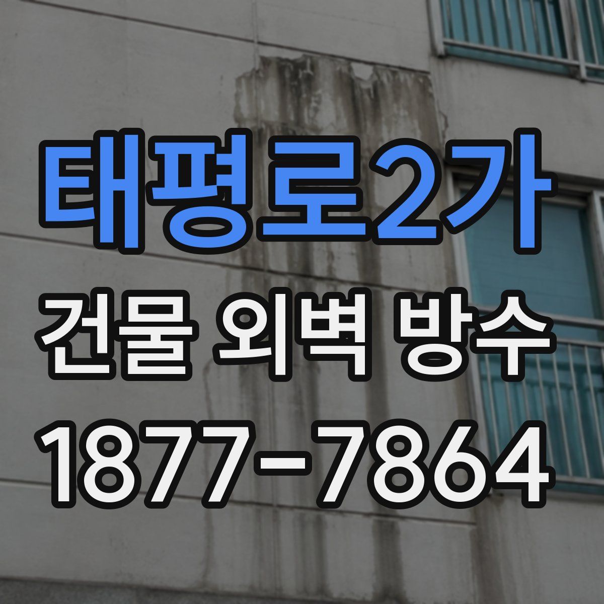 태평로2가 건물 외벽 방수