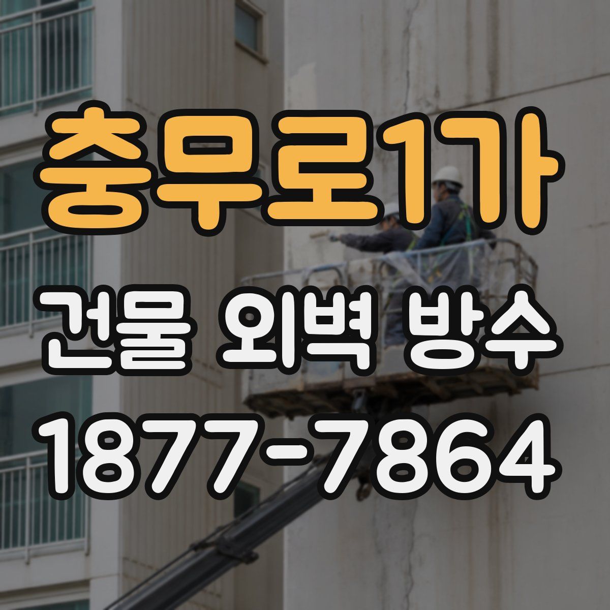 충무로1가 건물 외벽 방수