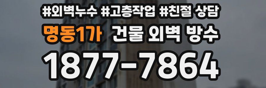 명동1가 건물 외벽 방수