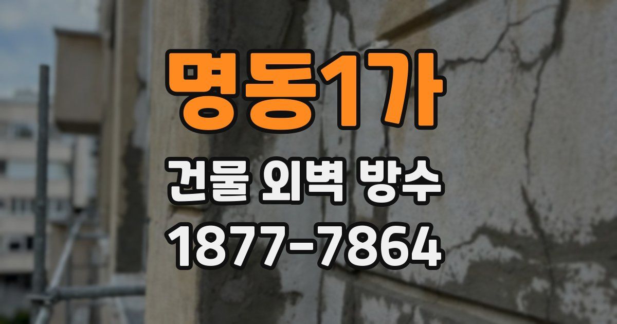 명동1가 건물 외벽 방수