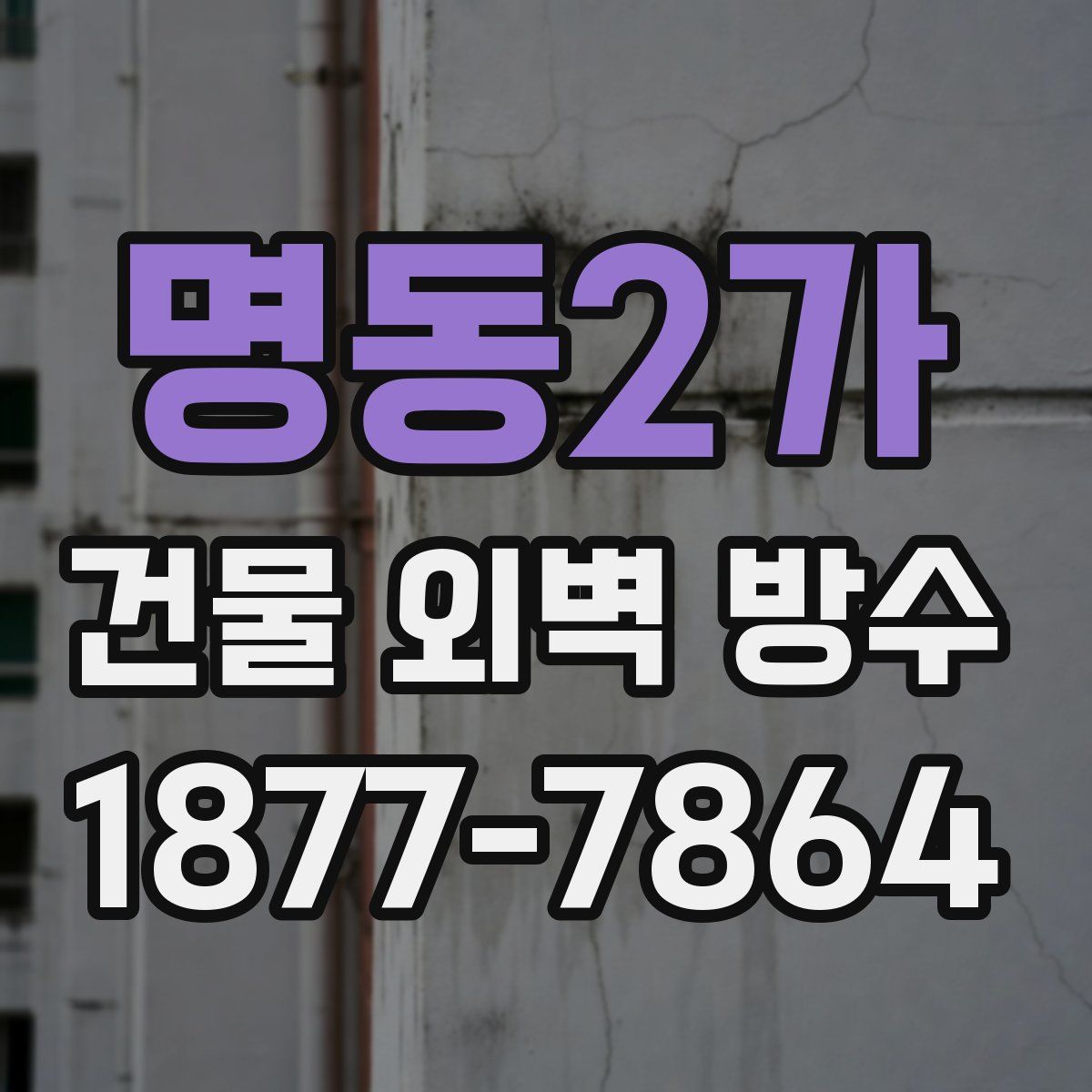 명동2가 건물 외벽 방수