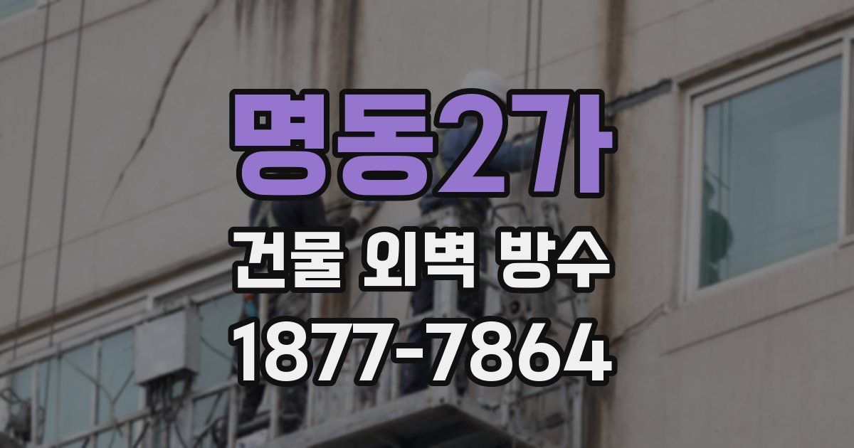 명동2가 건물 외벽 방수