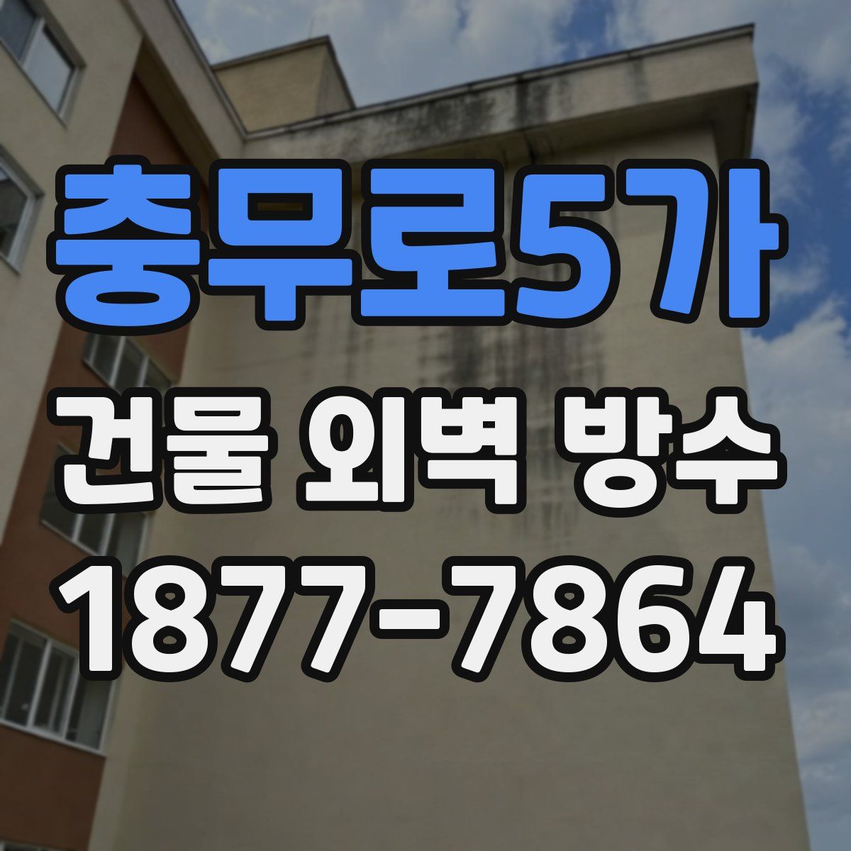 충무로5가 건물 외벽 방수