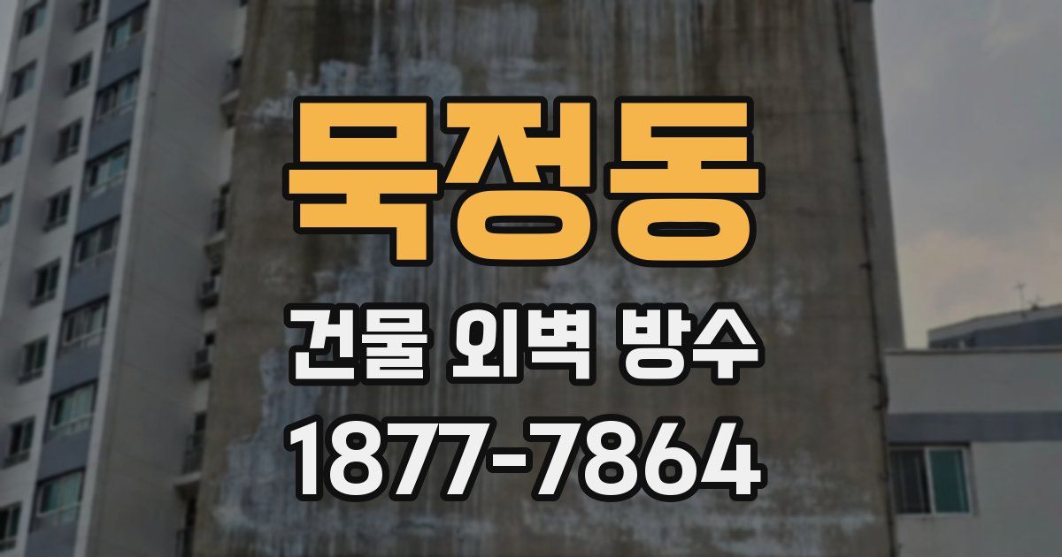묵정동 건물 외벽 방수