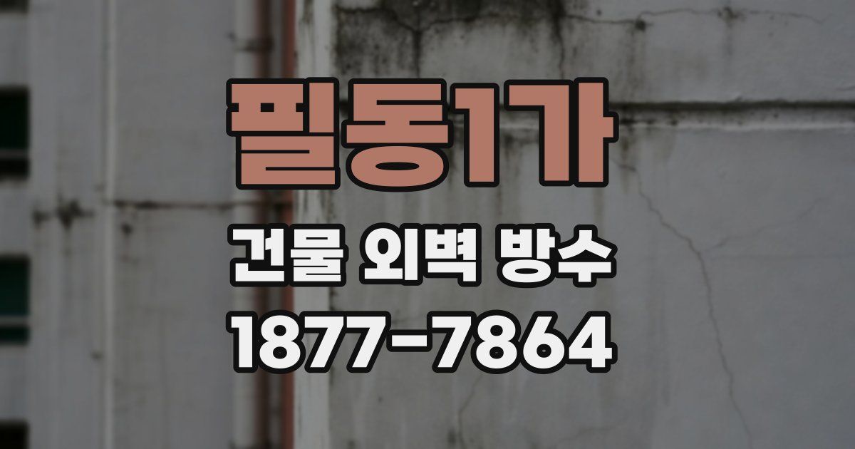 필동1가 건물 외벽 방수