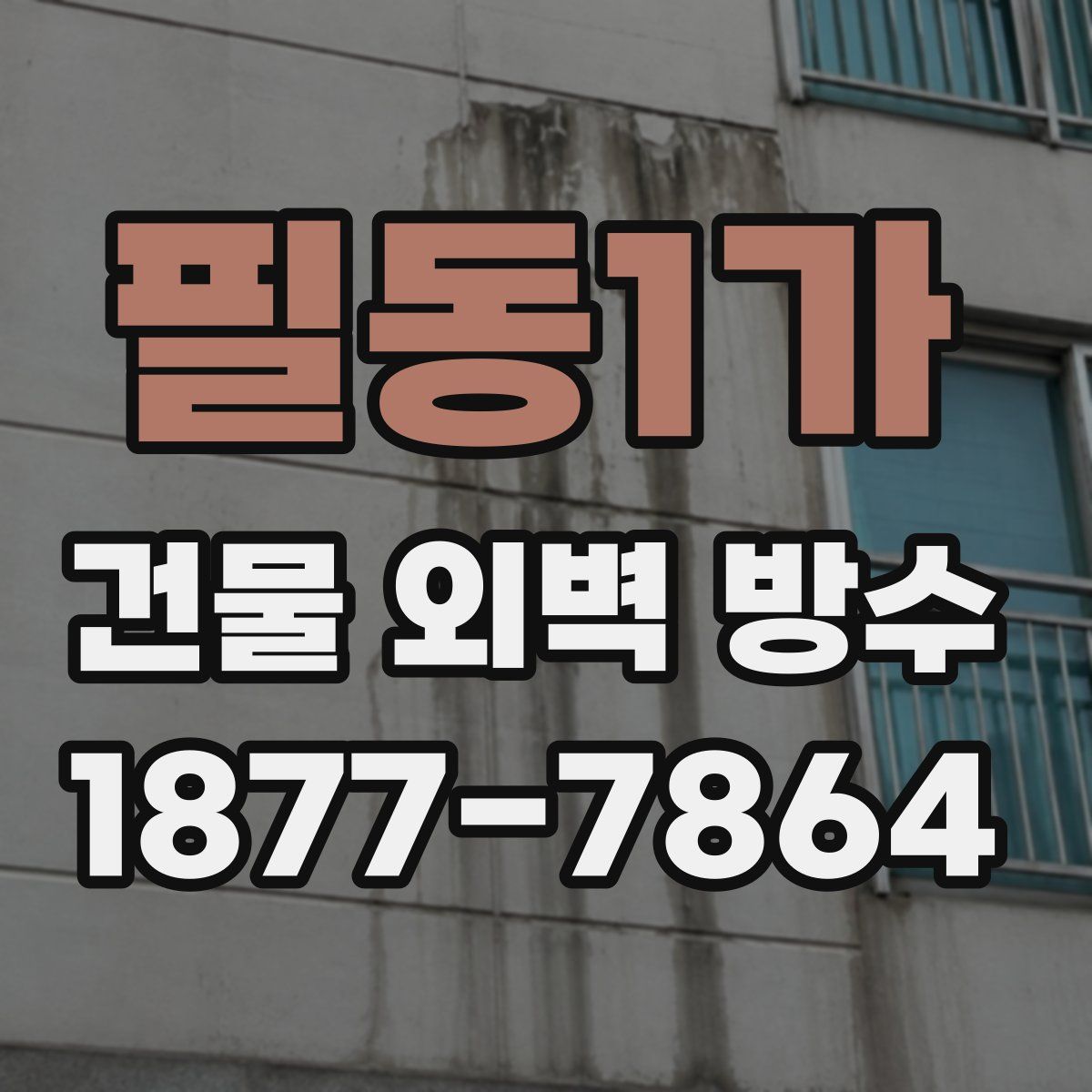 필동1가 건물 외벽 방수