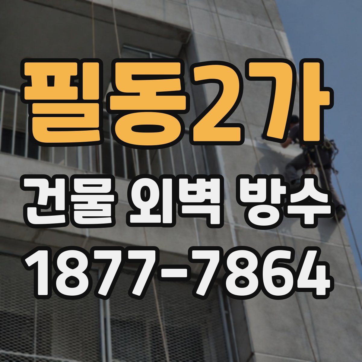 필동2가 건물 외벽 방수