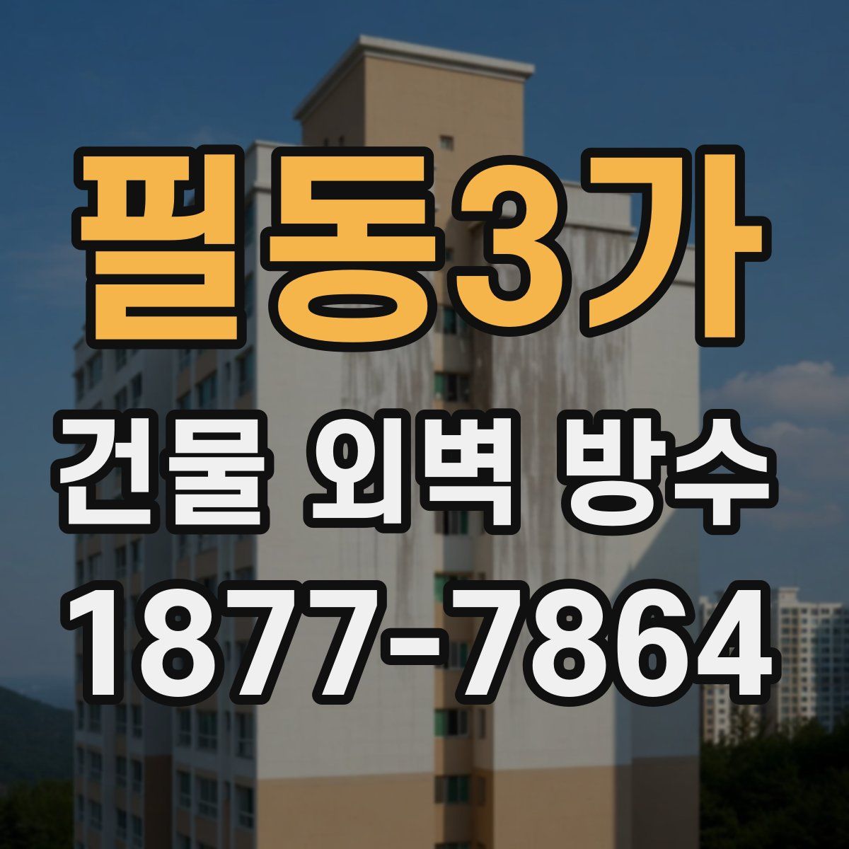 필동3가 건물 외벽 방수