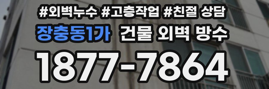 장충동1가 건물 외벽 방수