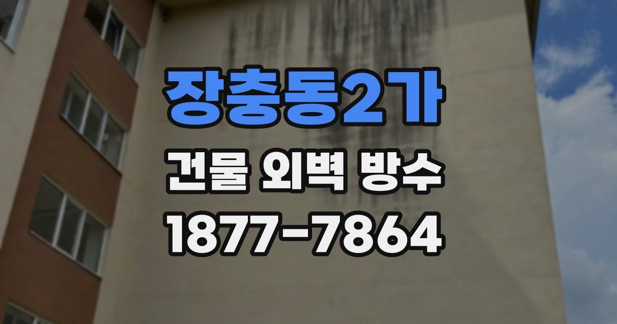 장충동2가 건물 외벽 방수