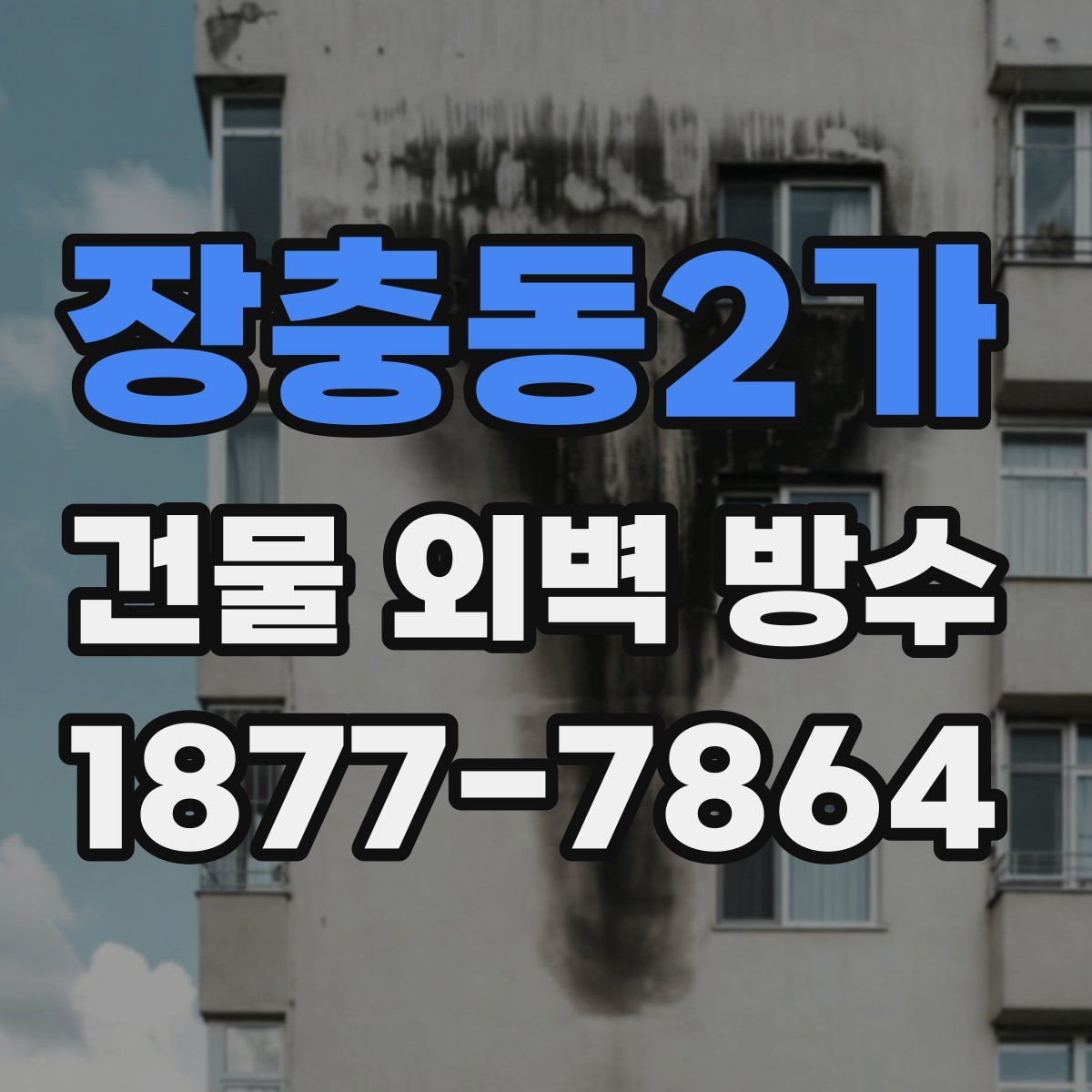 장충동2가 건물 외벽 방수