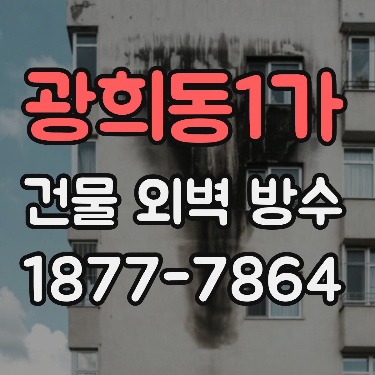 광희동1가 건물 외벽 방수