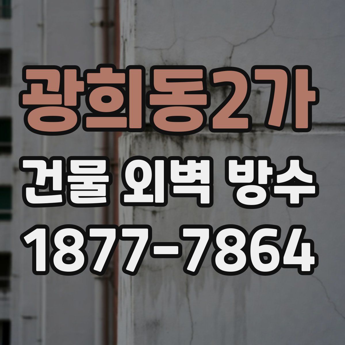 광희동2가 건물 외벽 방수